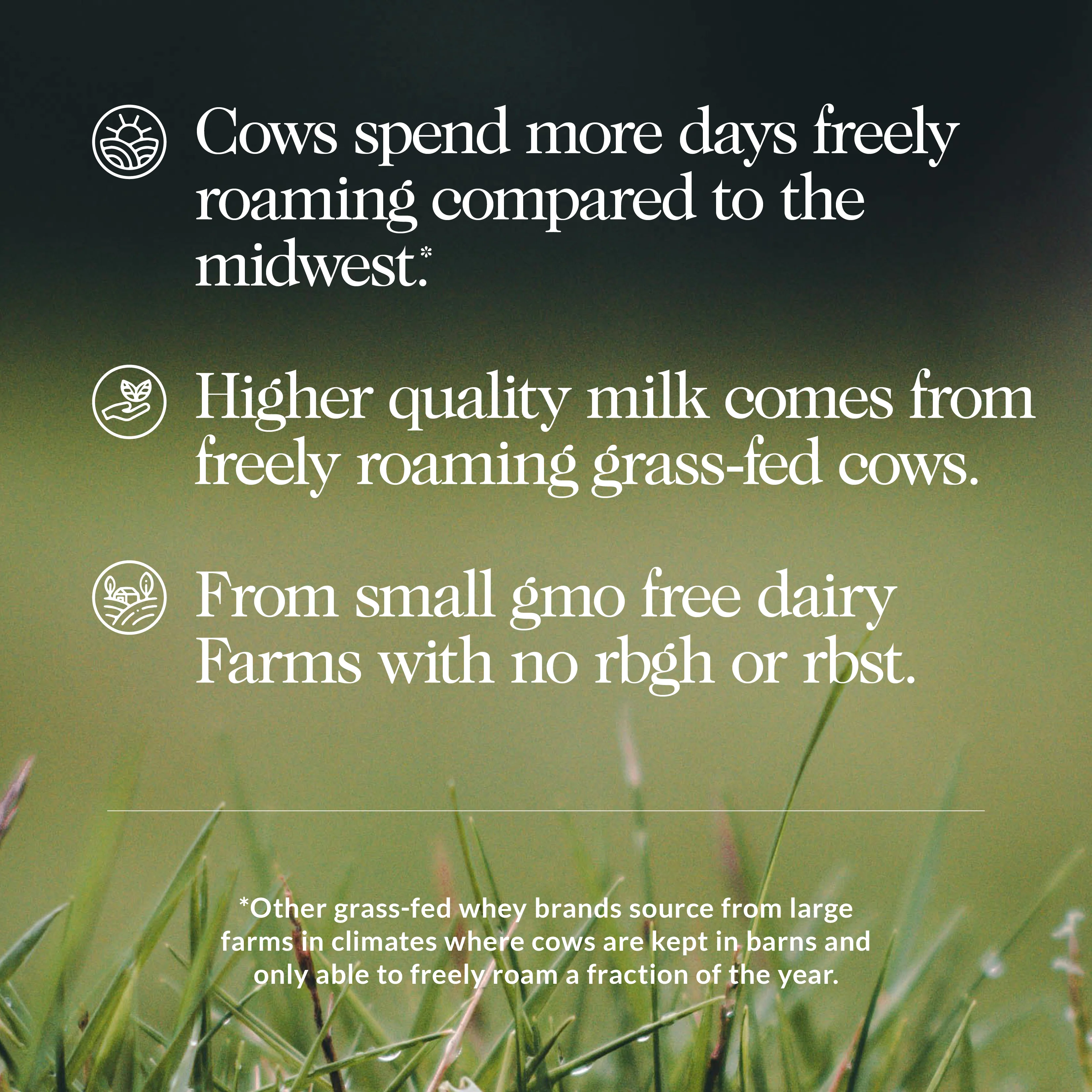 Chocolate Mass Gainer Protein Supplement | Naked Chocolate Mass - 8LB - Image 4