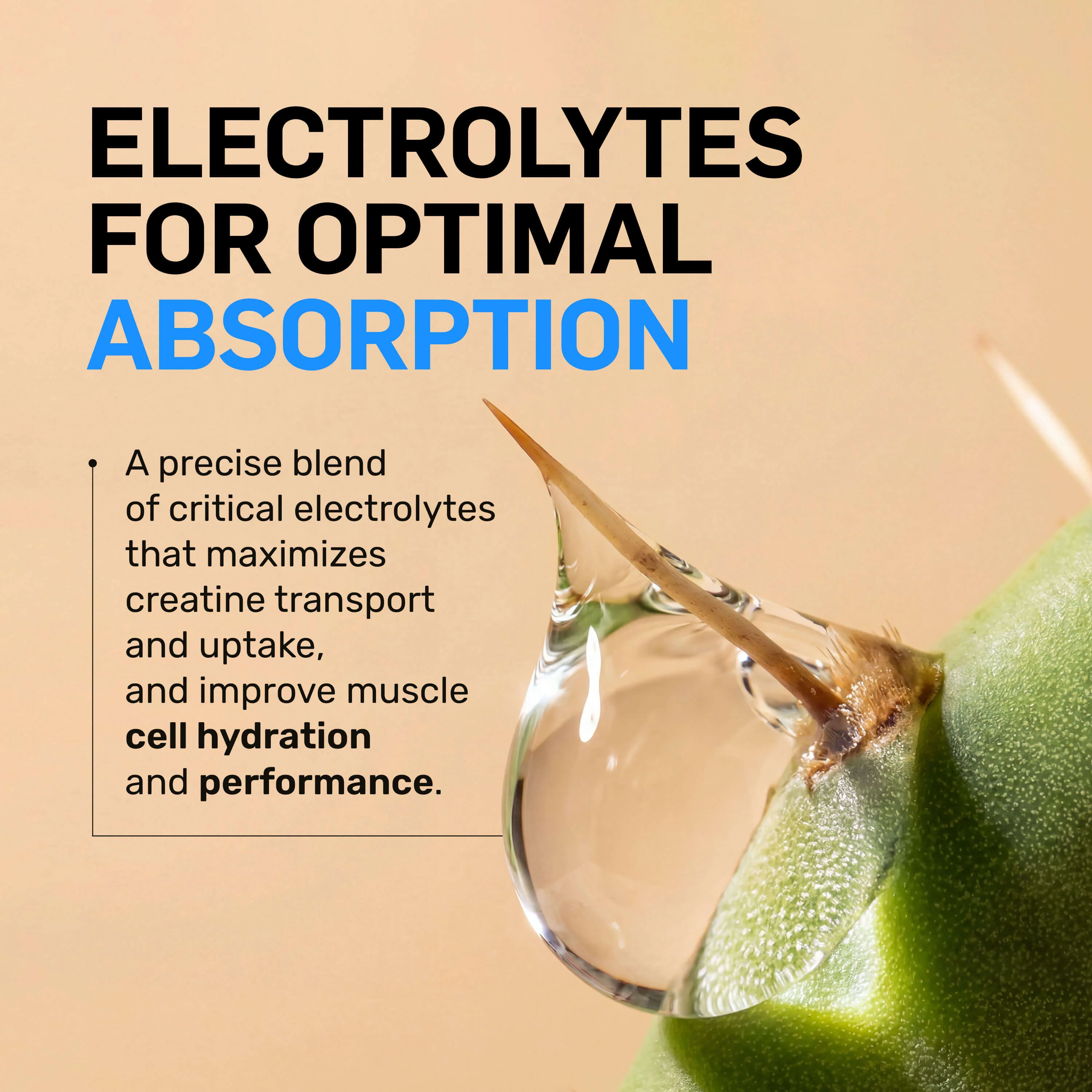 Creatine HCl Powder | Naked Lean Creatine - 232g - Image 5